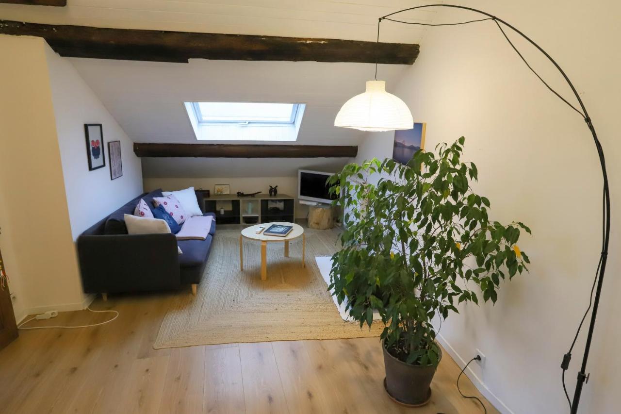 Petit-Coeur Charmant En Centre Ville Leilighet Annecy Eksteriør bilde