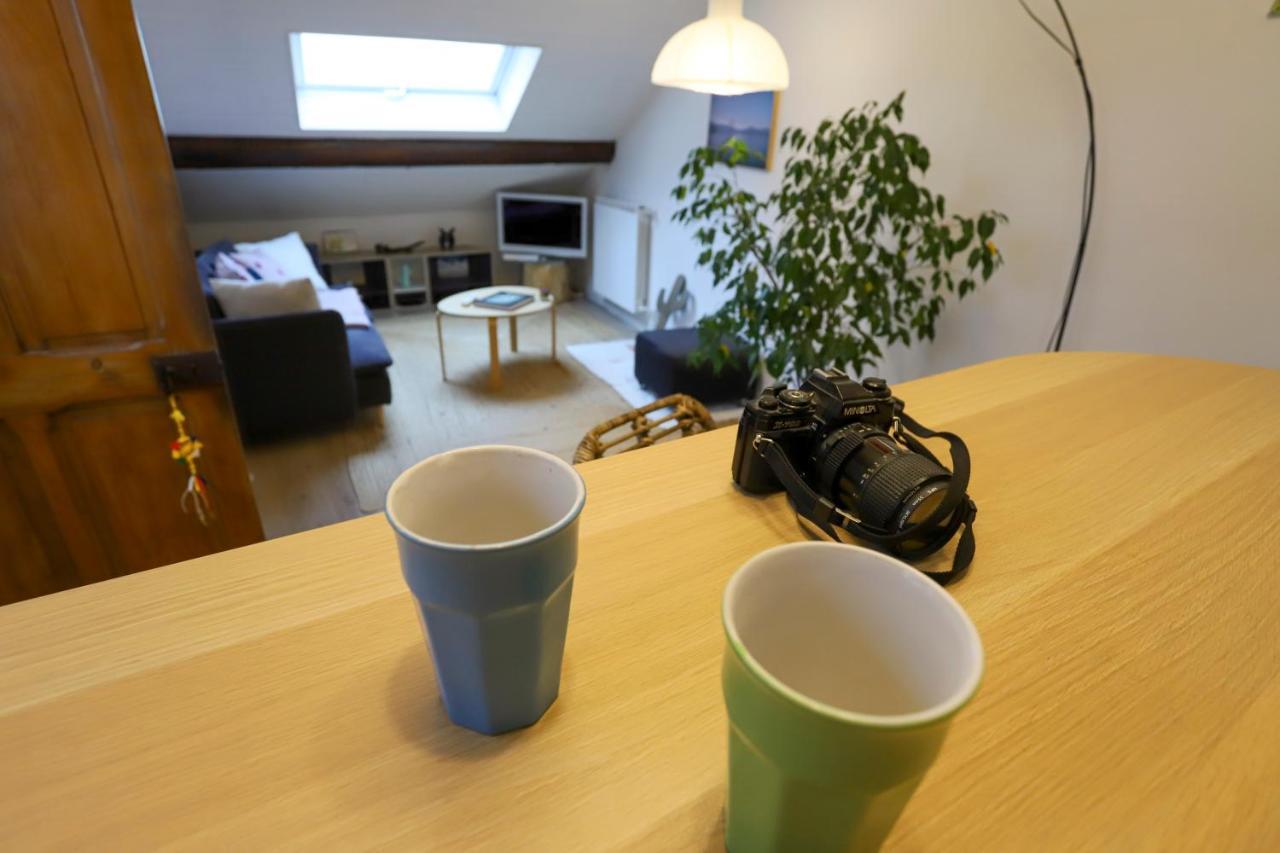 Petit-Coeur Charmant En Centre Ville Leilighet Annecy Eksteriør bilde